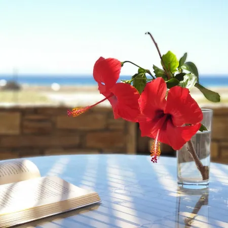 Kyma - Naxos Apartment